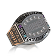 Load image into Gallery viewer, Cheersport Nationals Brave (2017-2019)