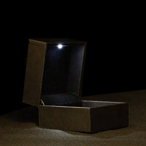 LED Lighted Ring Box