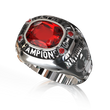 Load image into Gallery viewer, Jamfest Cheer Super Nationals Courage (2016-2019)