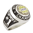 Load image into Gallery viewer, UCA All Star Nationals (2015-2016)