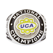 Load image into Gallery viewer, UCA All Star Nationals (2015-2016)