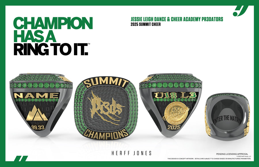 Jessie Leigh Dance & Cheer Academy Pr3dators - 2025 Summit