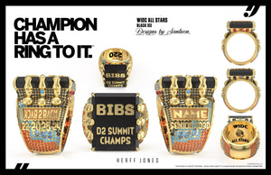 WIDC Black Ice - 2025 D2 Summit