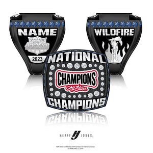 Champions All Star Cheerleading Wildfire - 2023 NCA ASN